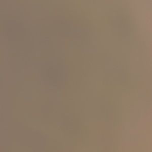 Meet your Posher, Bailey